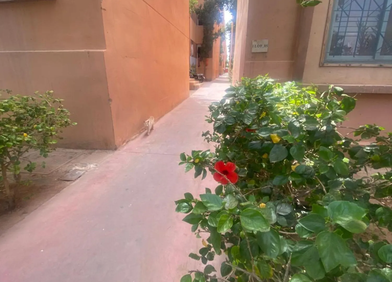 Basatine Targa Apartment Marrakesh 0*,