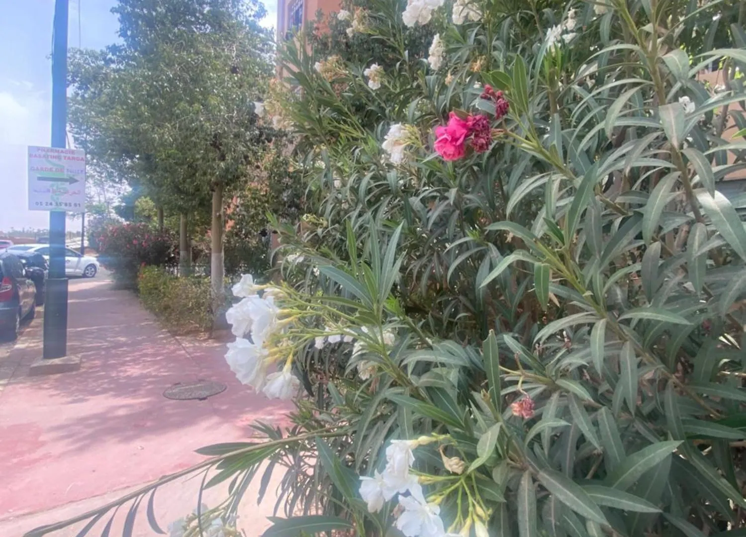 Basatine Targa Apartment Marrakesh