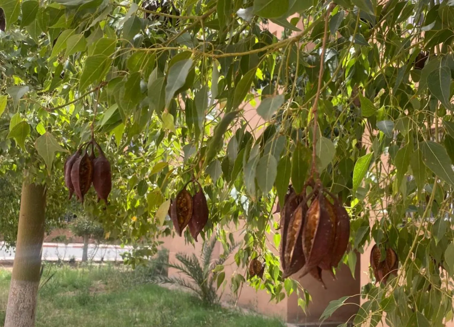 Basatine Targa Apartment Marrakesh 0*,